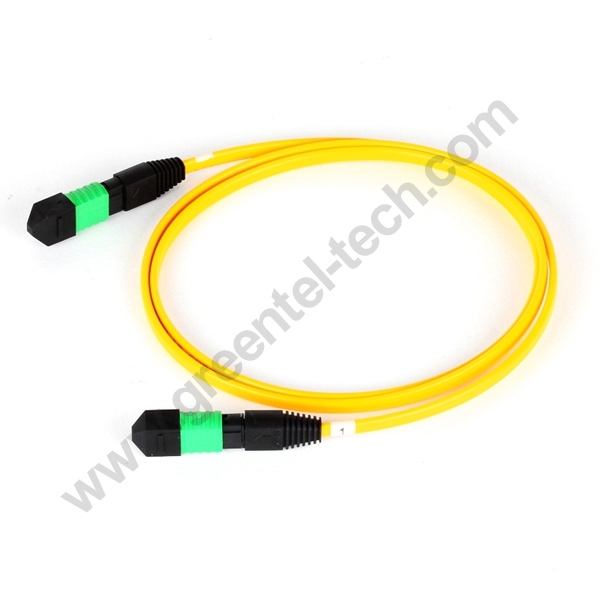 Fiber MPO Cable